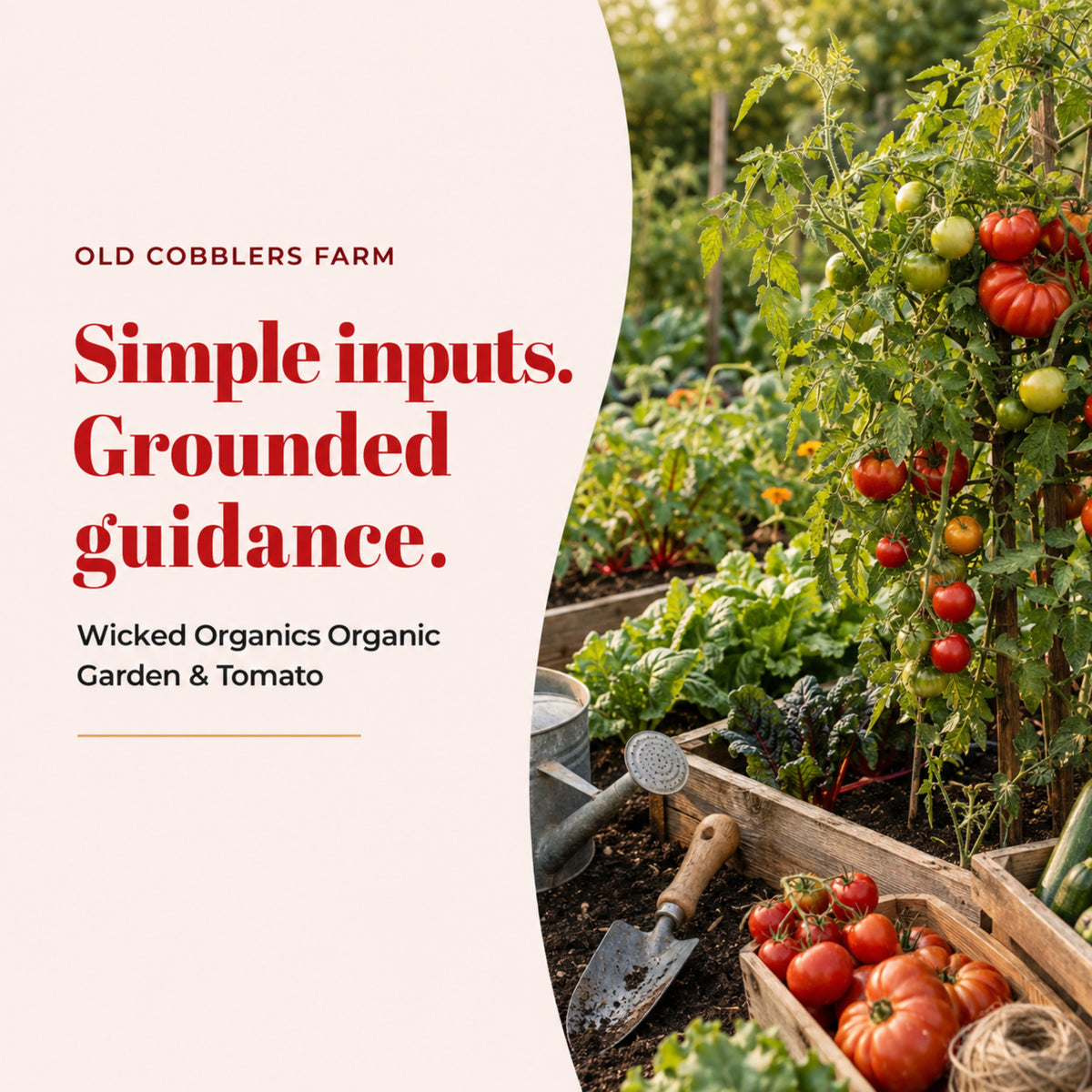 Wicked Organics Garden and Tomato Fertilizer