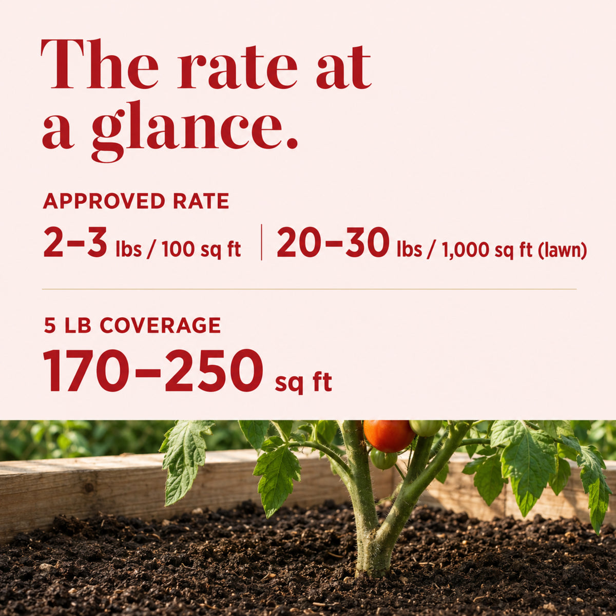 Wicked Organics Garden and Tomato Fertilizer