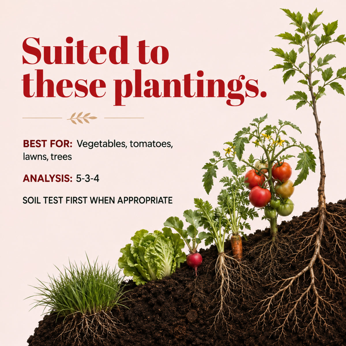 Wicked Organics Garden and Tomato Fertilizer