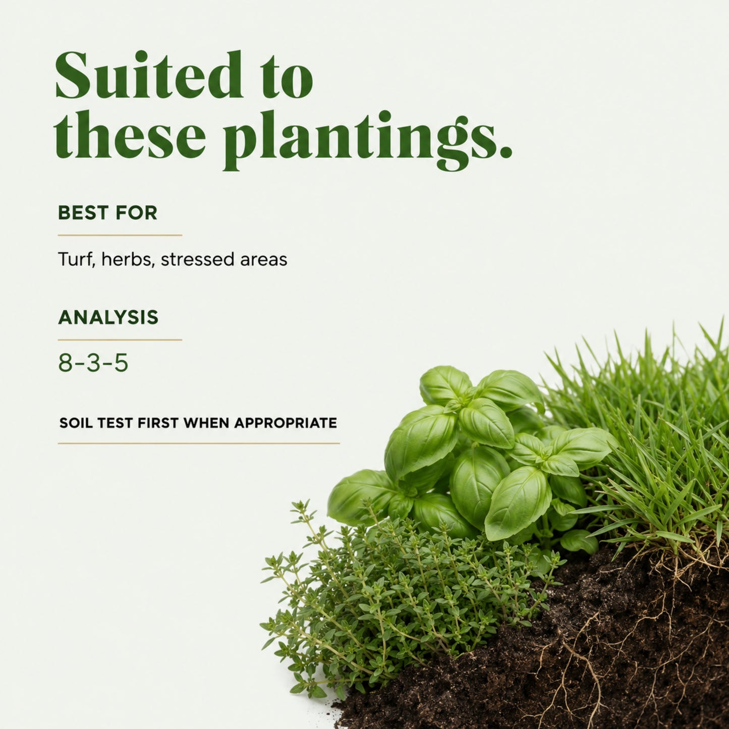 Wicked Organics Herb Fertilizer