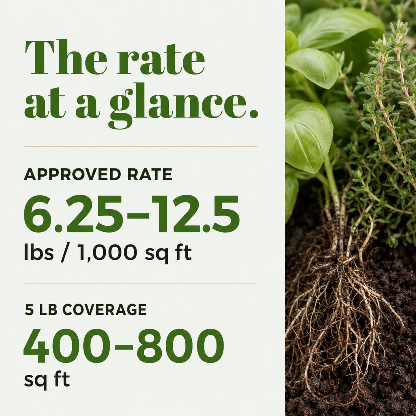 Wicked Organics Herb Fertilizer