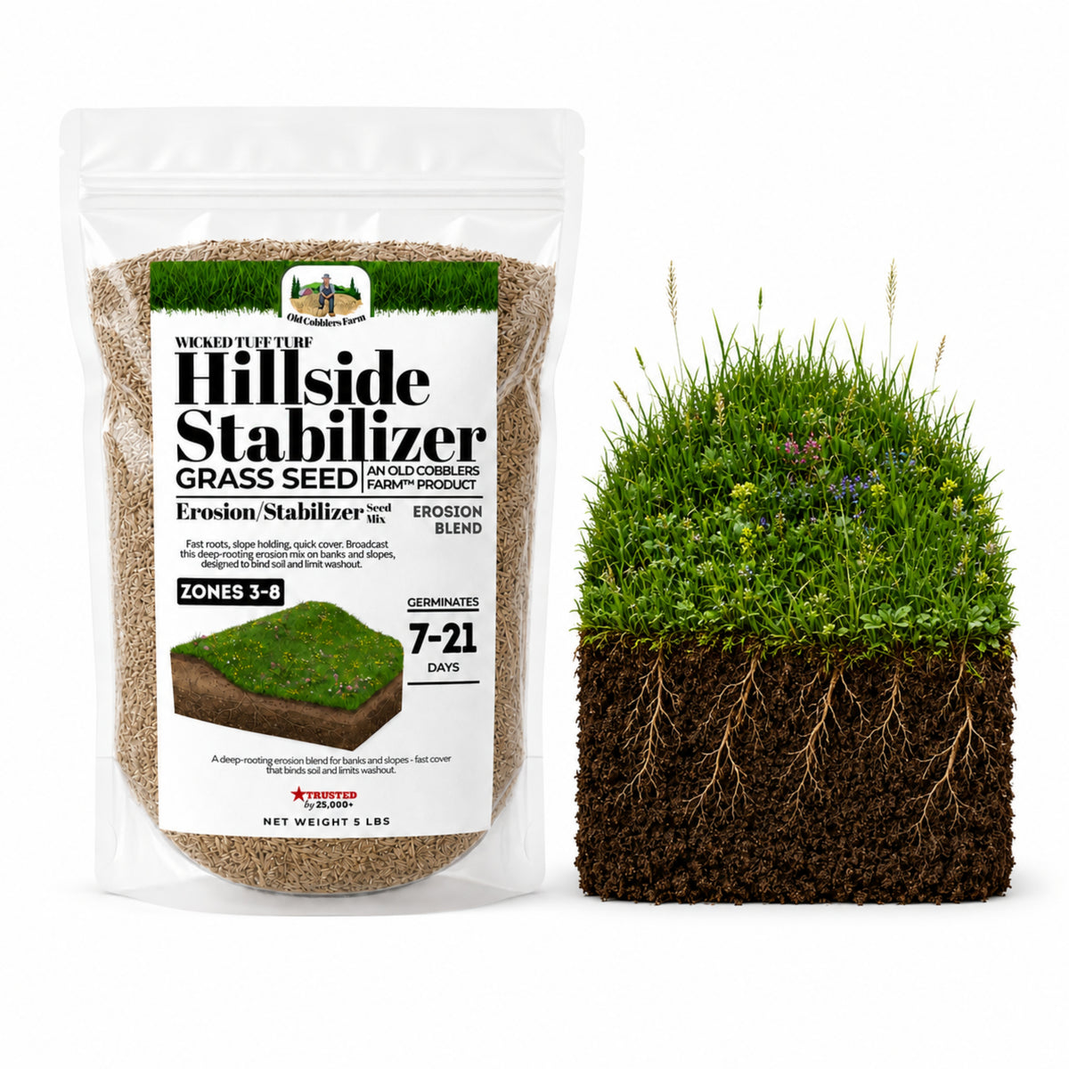 Wicked Tuff Turf Hillside Stabilizer Seed