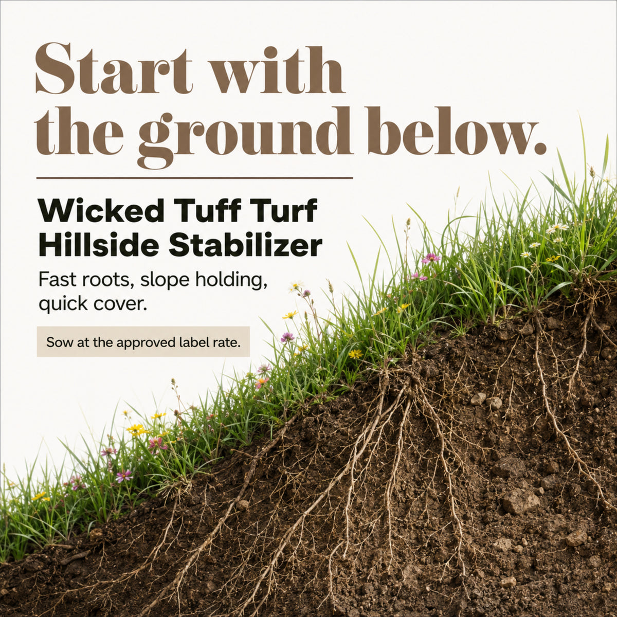 Wicked Tuff Turf Hillside Stabilizer Seed