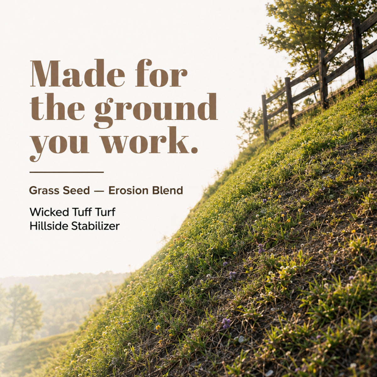 Wicked Tuff Turf Hillside Stabilizer Seed