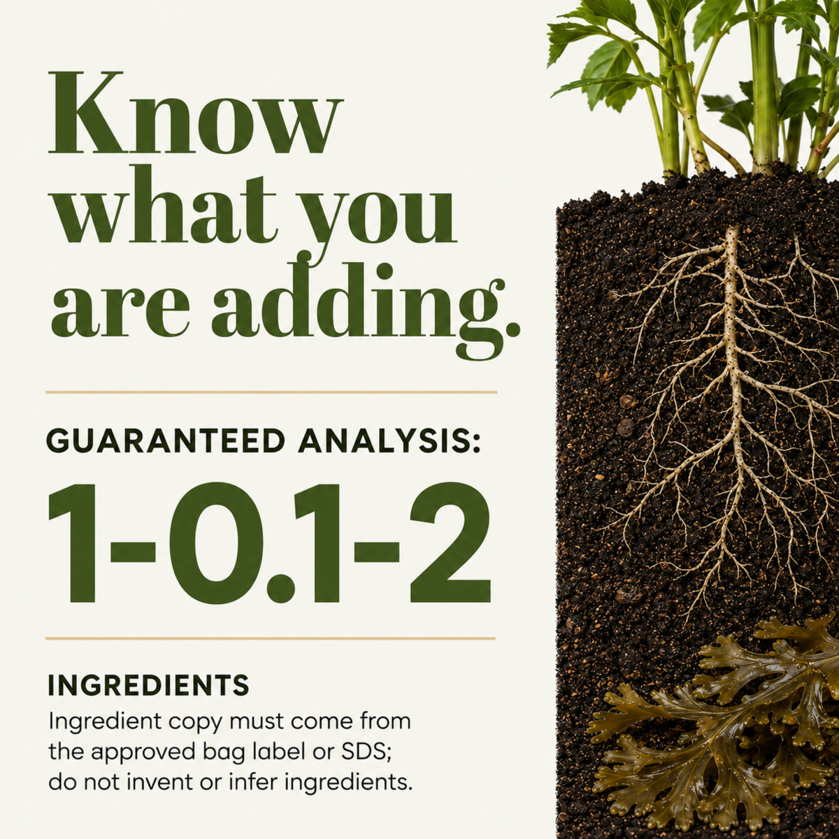 Wicked Organics Kelp Meal Fertilizer