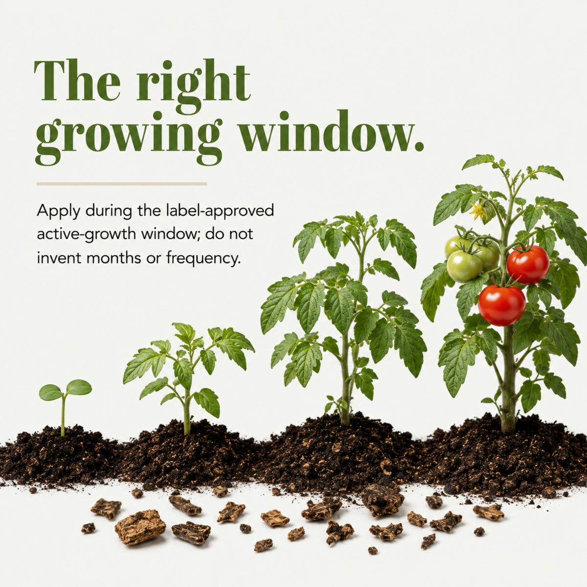 Wicked Organics Kelp Meal Fertilizer