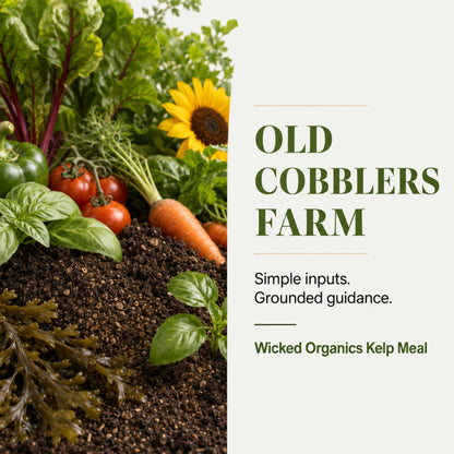 Wicked Organics Kelp Meal Fertilizer