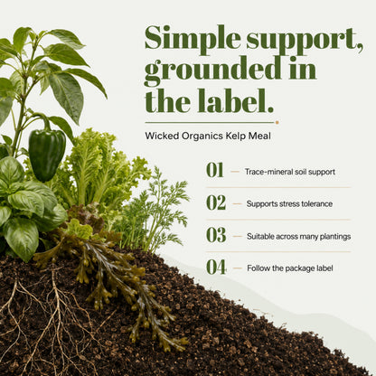Wicked Organics Kelp Meal Fertilizer