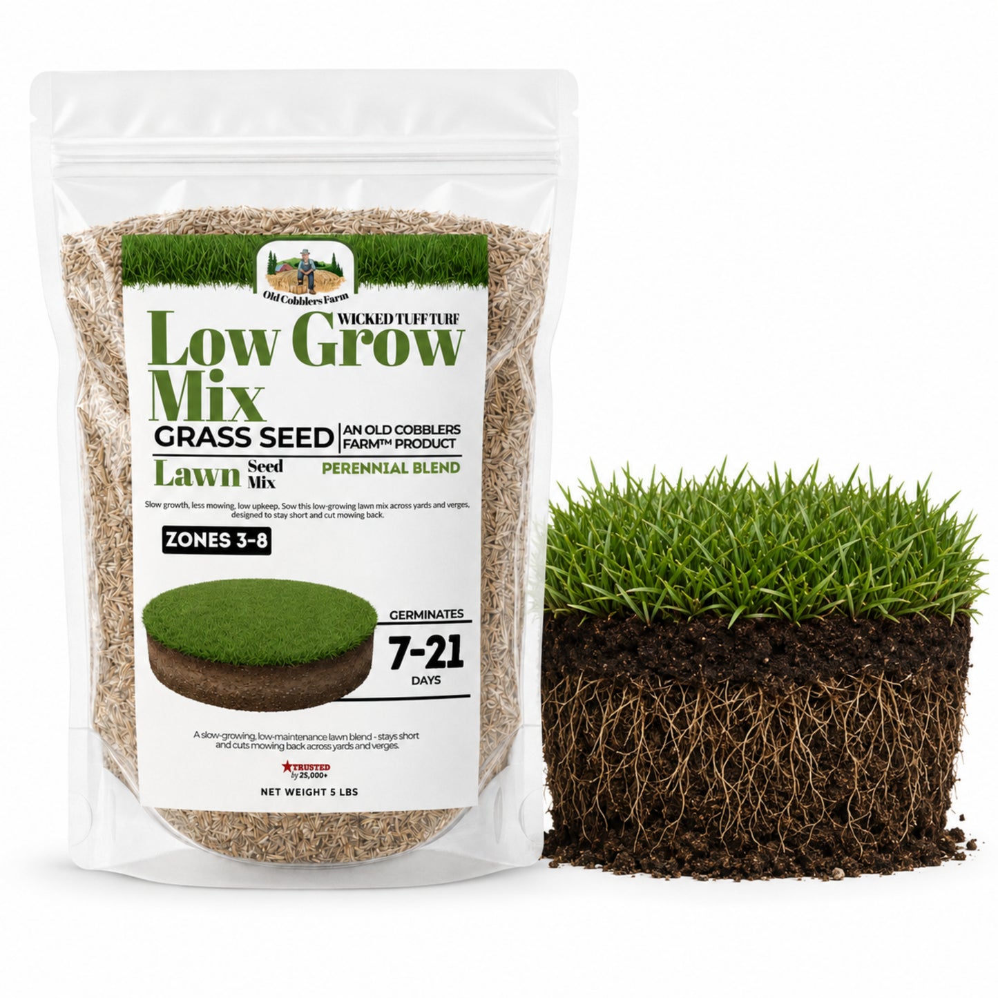Wicked Tuff Turf Low Grow Seed Mix