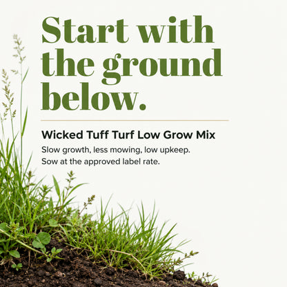 Wicked Tuff Turf Low Grow Seed Mix