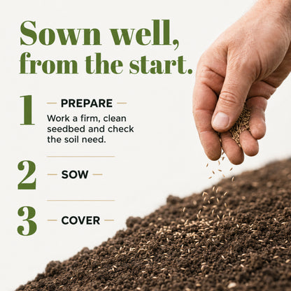 Wicked Tuff Turf Low Grow Seed Mix
