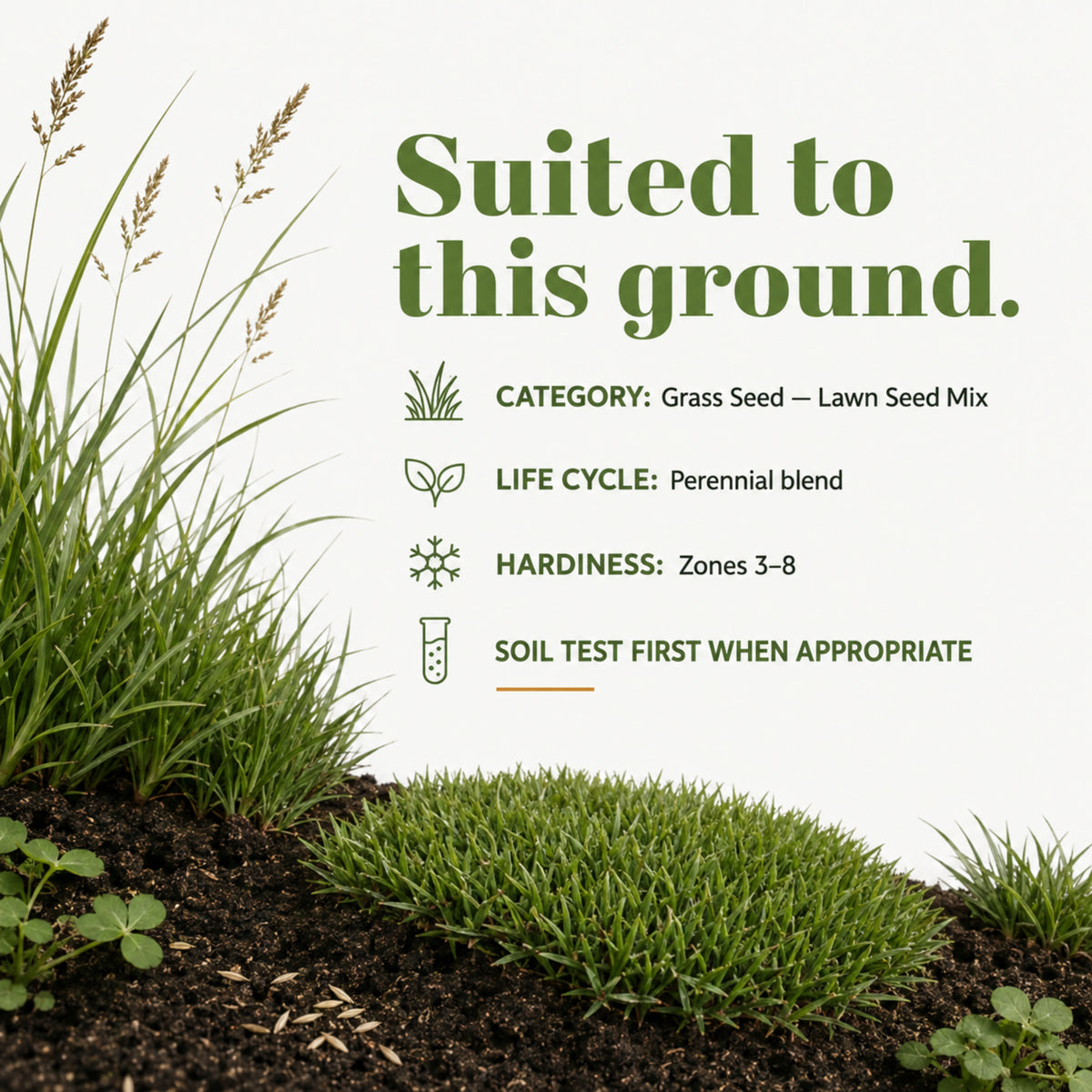 Wicked Tuff Turf Low Grow Seed Mix
