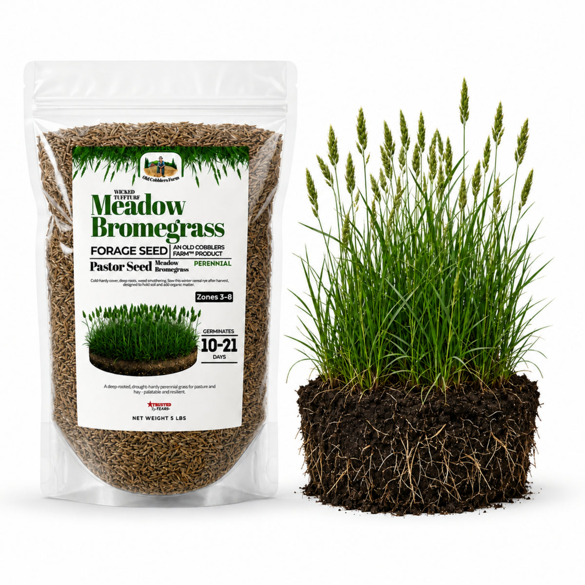 Wicked Tuff Turf Meadow Bromegrass Seed