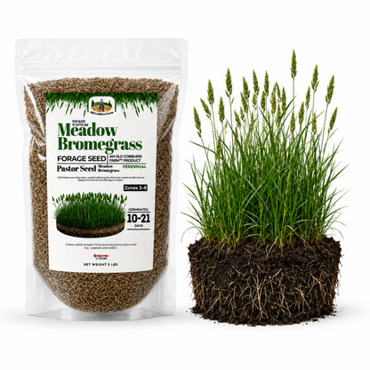 Wicked Tuff Turf Meadow Bromegrass Seed