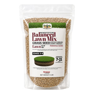 Balanced Lawn Mix Growing