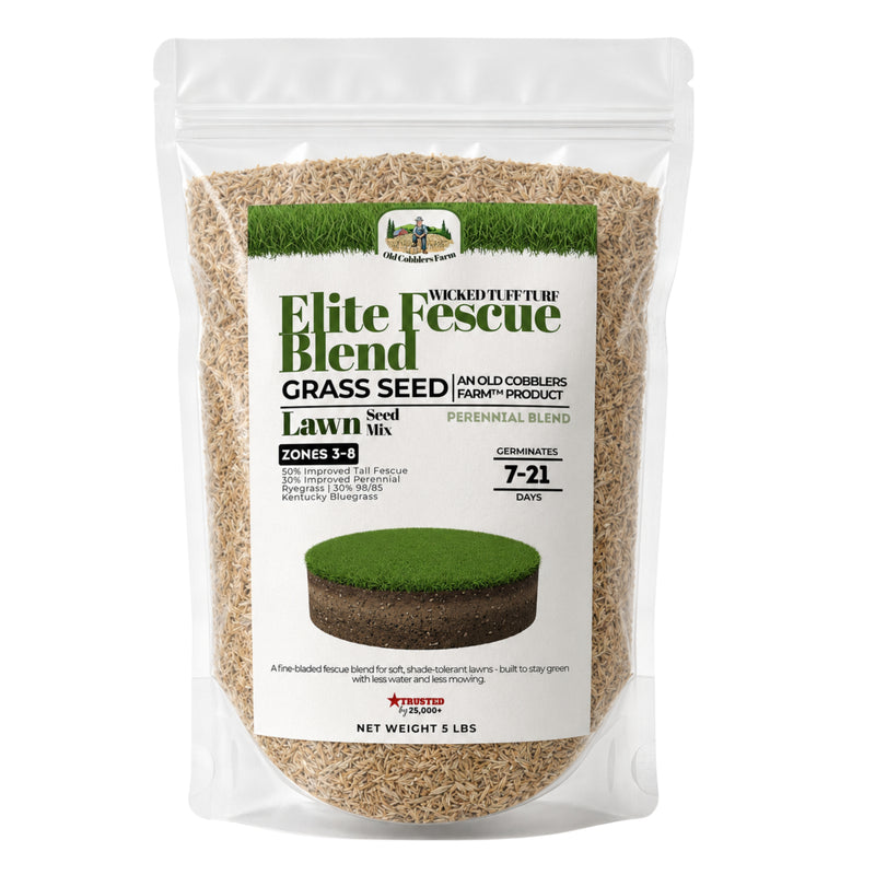 Wicked Tuff Turf Elite Fescue Blend Seed - Old Cobblers Farm