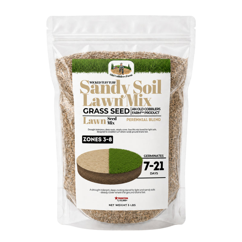Wicked Tuff Turf Sandy Soil Lawn Seed Mix - Old Cobblers Farm
