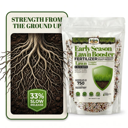 Wicked Growth Early Season Lawn Booster 6-16-12 Fertilizer