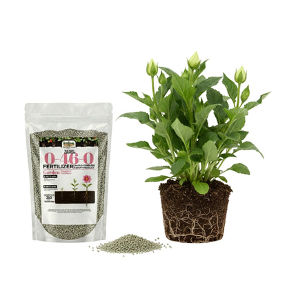 Wicked Growth 0-46-0 Fertilizer