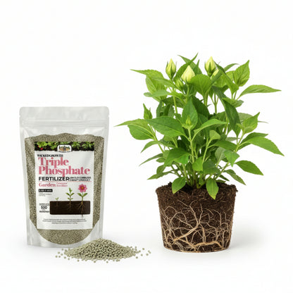 Wicked Growth Triple Phosphate