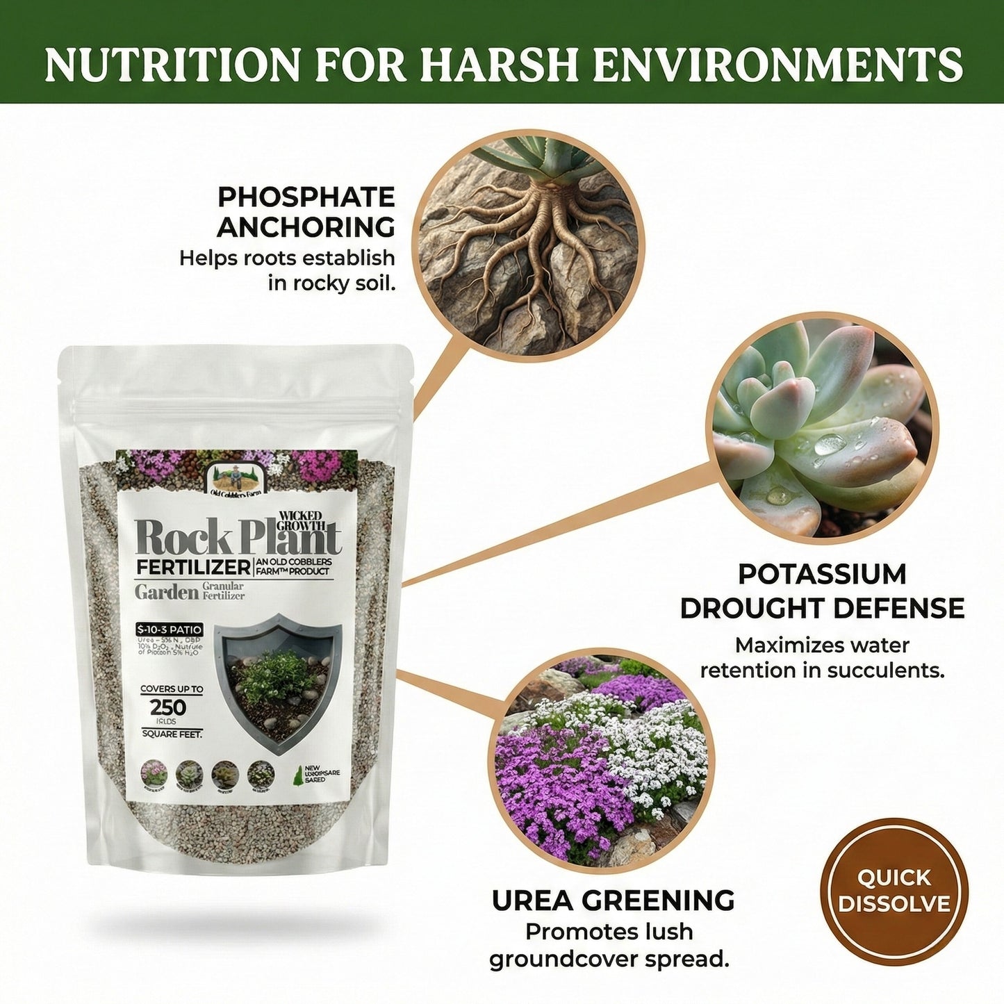Wicked Growth Alpine/Rock Garden Plants Fertilizer