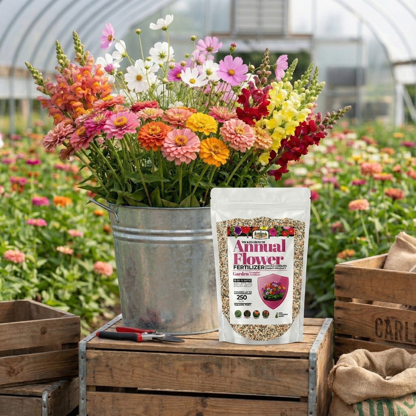 Wicked Growth Annual Flowers Fertilizer