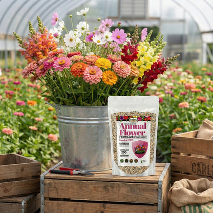 Wicked Growth Annual Flowers Fertilizer