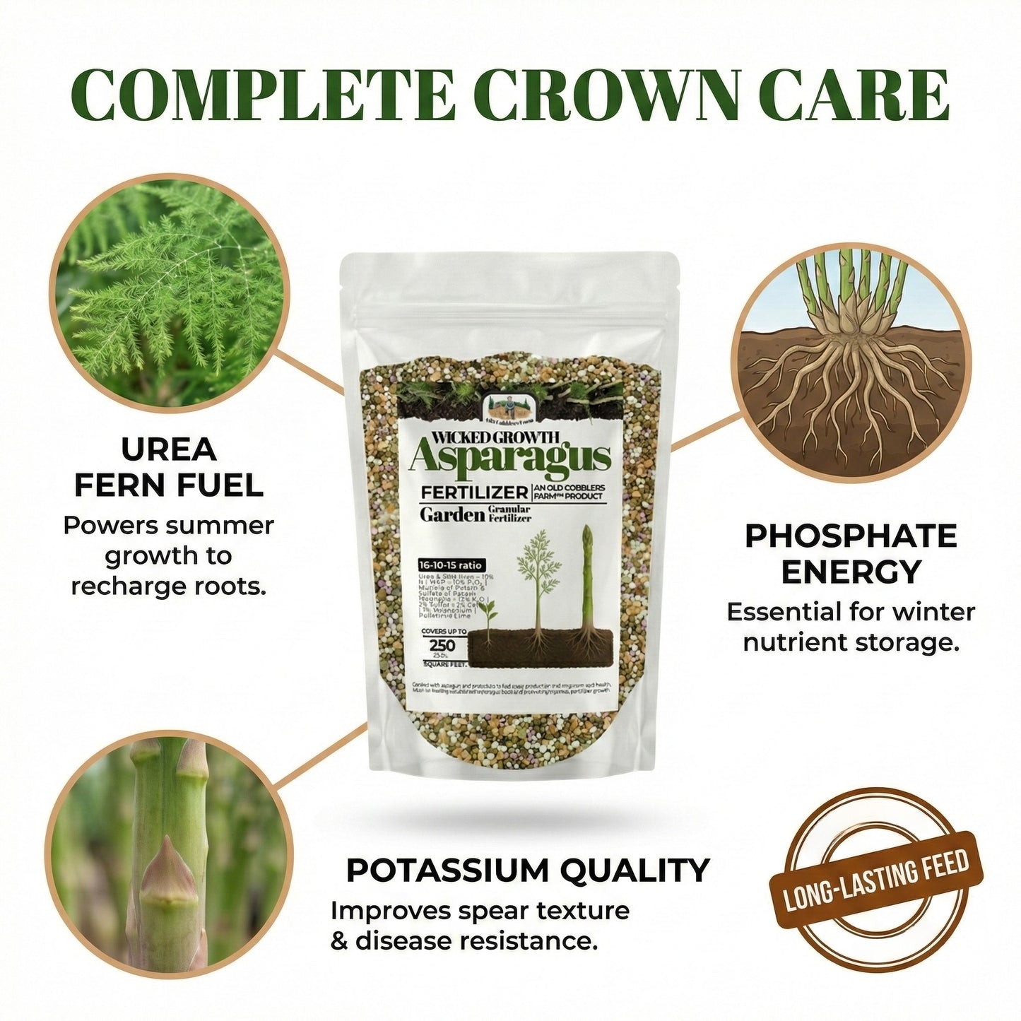 Wicked Growth Asparagus Fertilizer