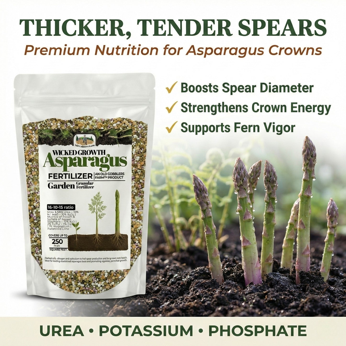 Wicked Growth Asparagus Fertilizer