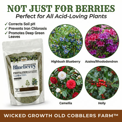 Wicked Growth Blueberry Fertilizer