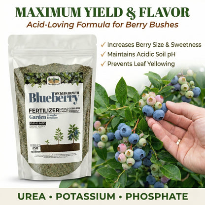Wicked Growth Blueberry Fertilizer