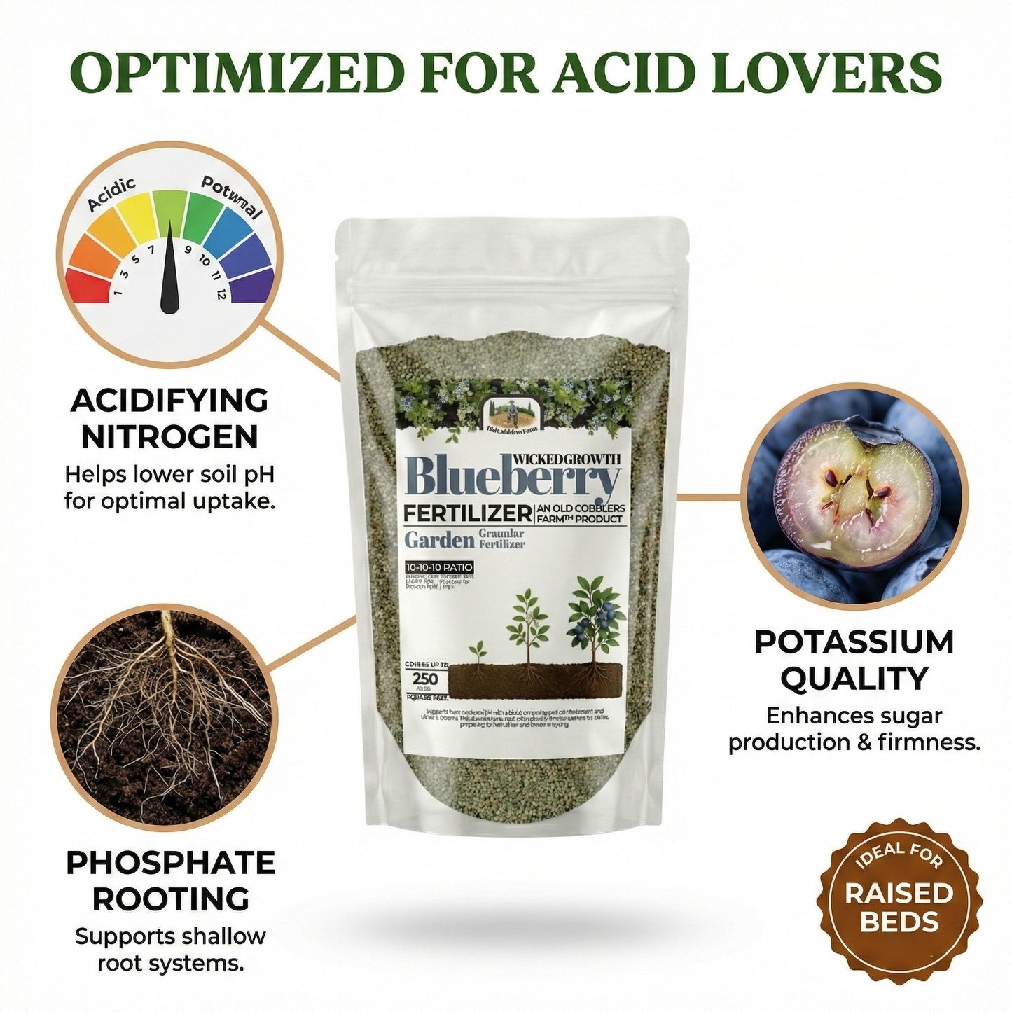 Wicked Growth Blueberry Fertilizer
