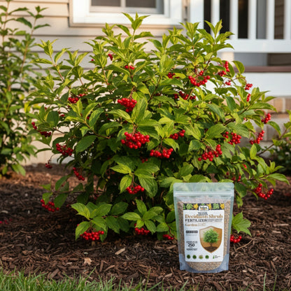 Wicked Growth Deciduous Shrubs Fertilizer