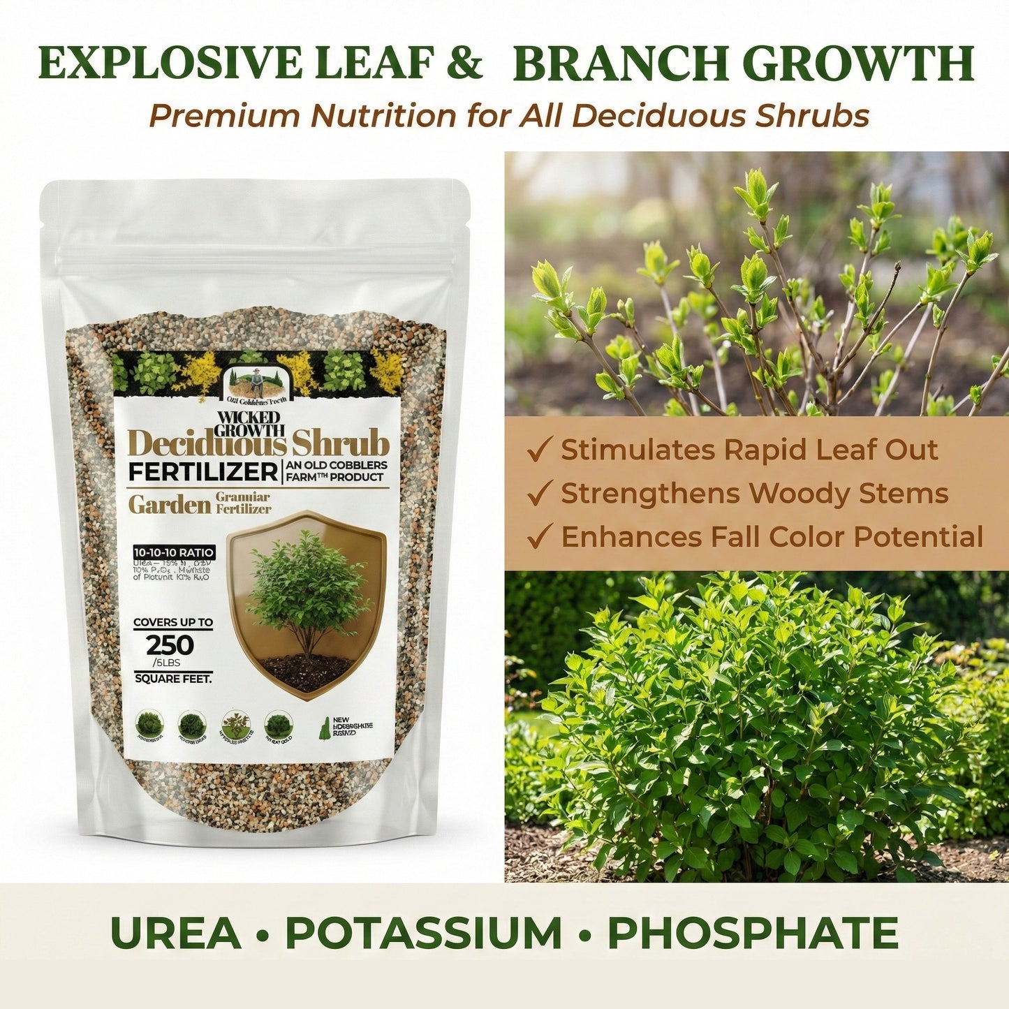 Wicked Growth Deciduous Shrubs Fertilizer