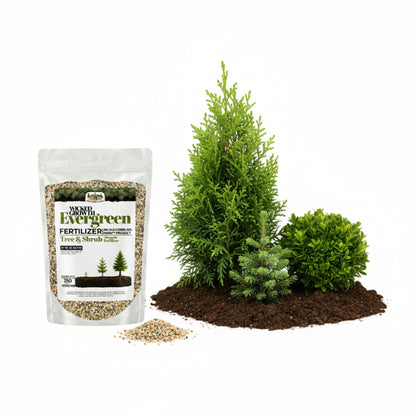 Wicked Growth Evergreen Fertilizer