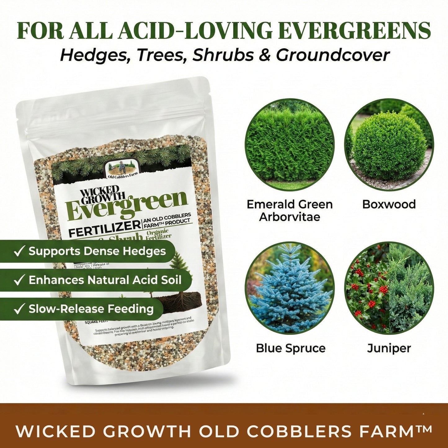 Wicked Growth Evergreen Fertilizer