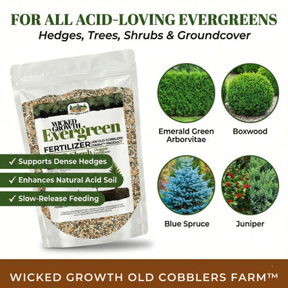 Wicked Growth Evergreen Fertilizer