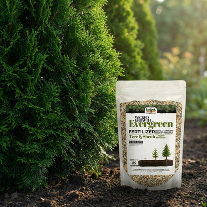 Wicked Growth Evergreen Fertilizer