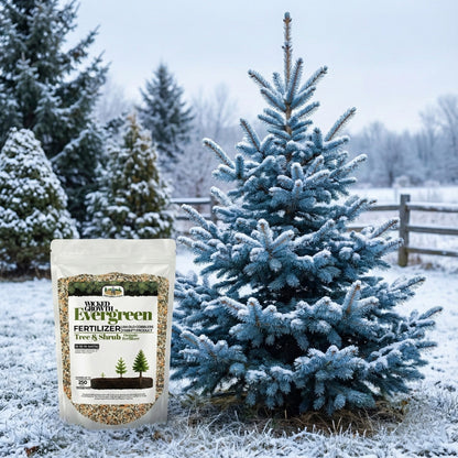Wicked Growth Evergreen Fertilizer