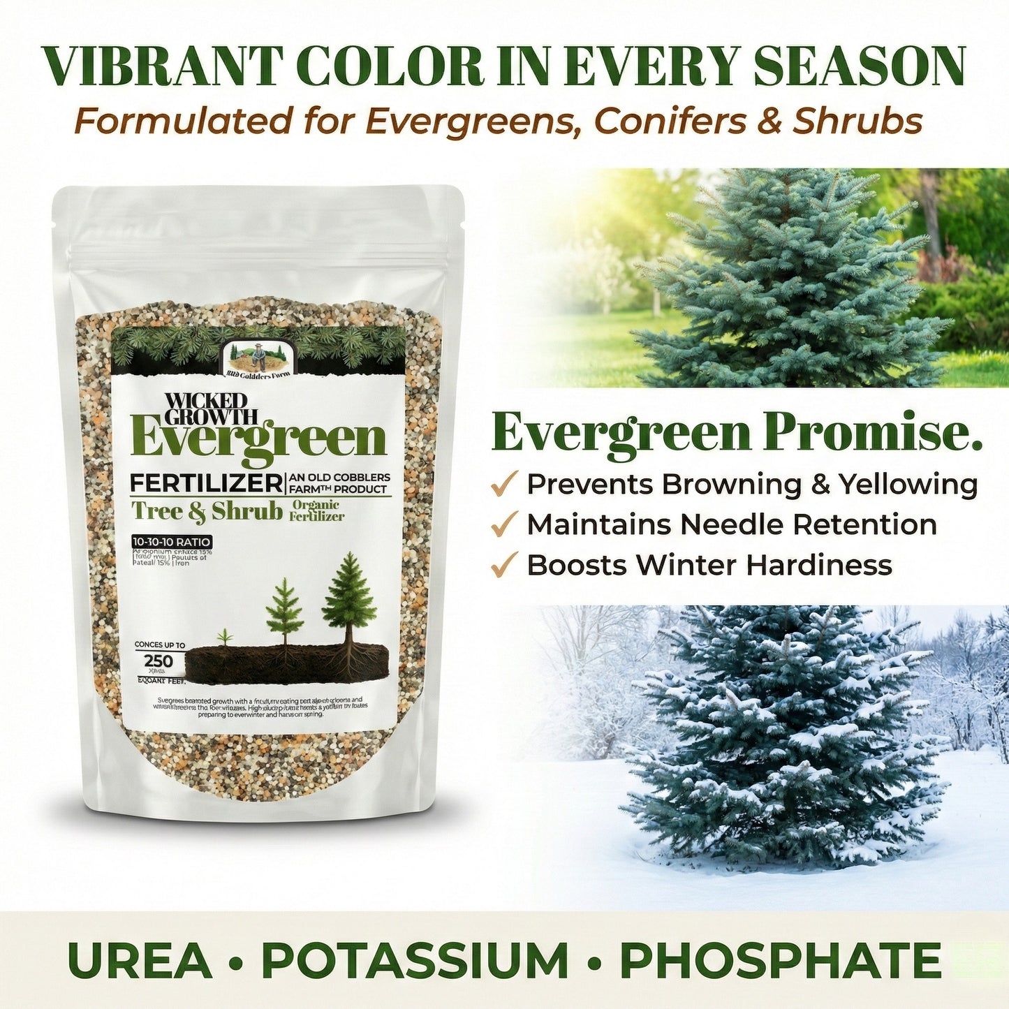 Wicked Growth Evergreen Fertilizer
