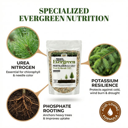 Wicked Growth Evergreen Fertilizer