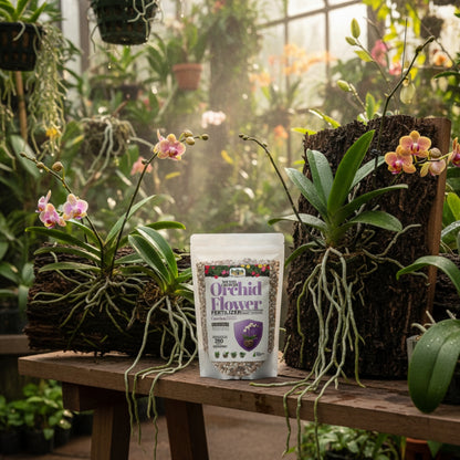 Wicked Growth Orchids Fertilizer