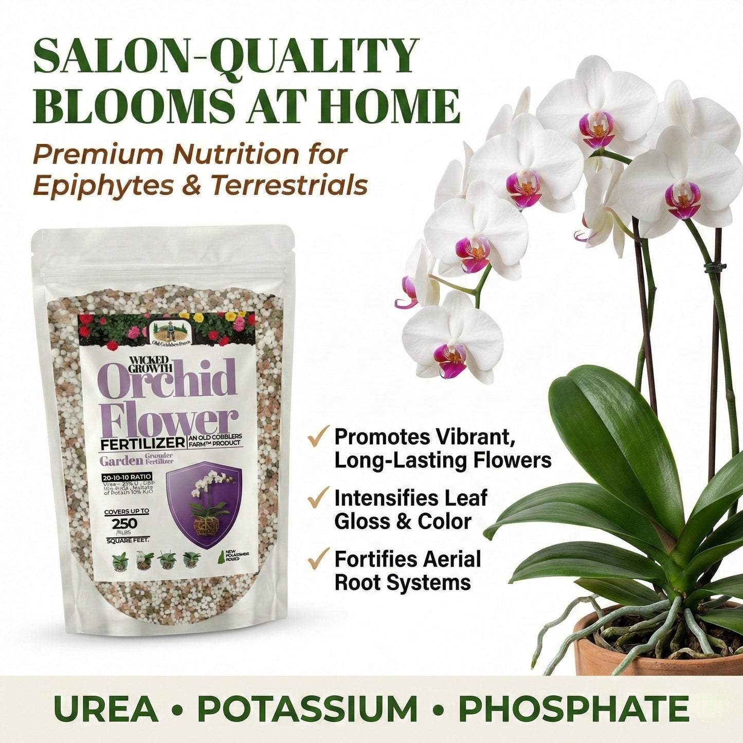 Wicked Growth Orchids Fertilizer