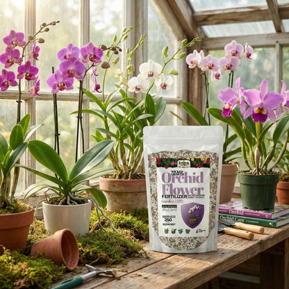 Wicked Growth Orchids Fertilizer