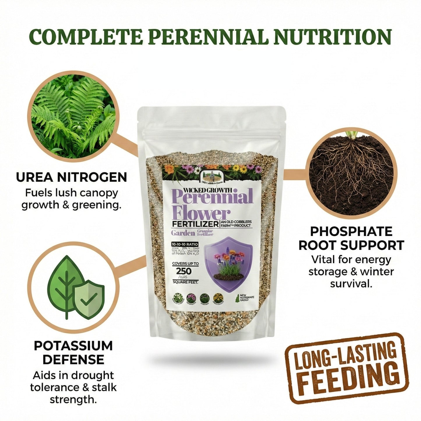 Wicked Growth Perennial Flowers Fertilizer