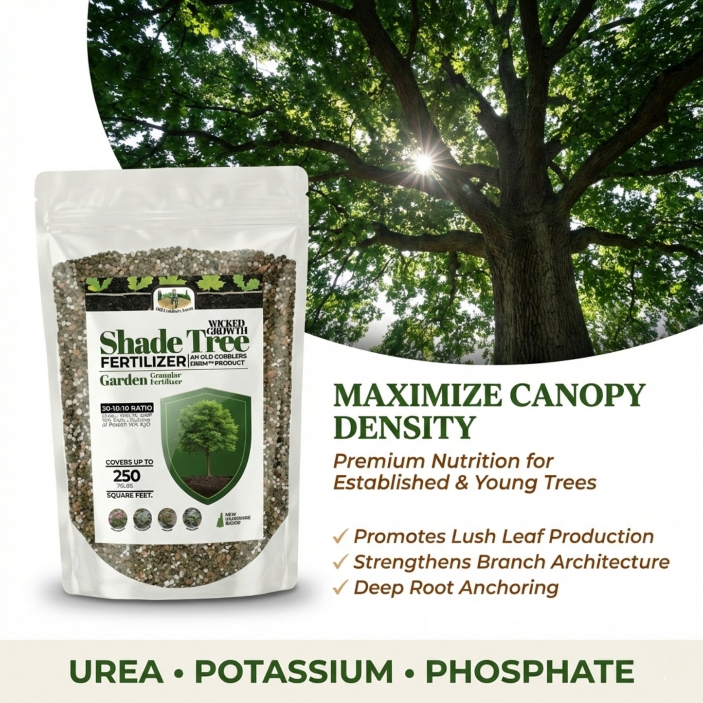 Wicked Growth Shade Trees Fertilizer