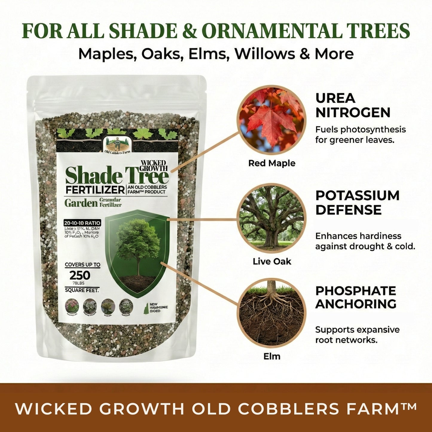 Wicked Growth Shade Trees Fertilizer