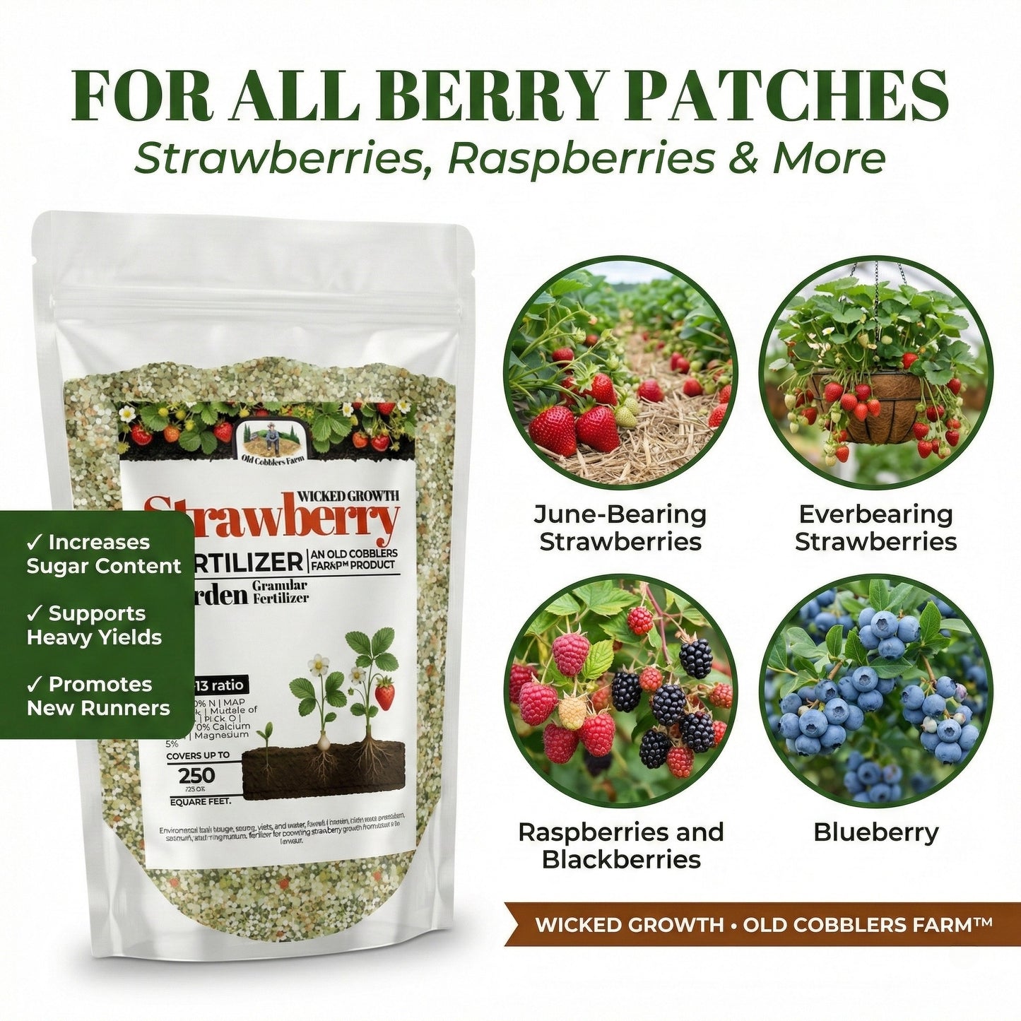 Wicked Growth Strawberry Fertilizer