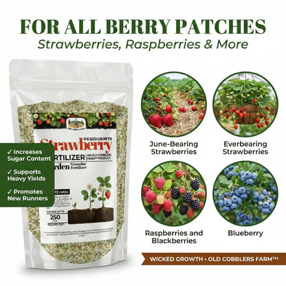 Wicked Growth Strawberry Fertilizer
