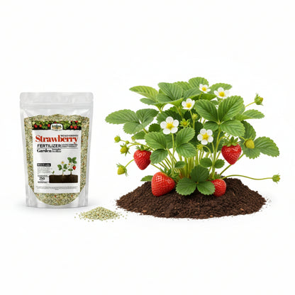 Wicked Growth Strawberry Fertilizer